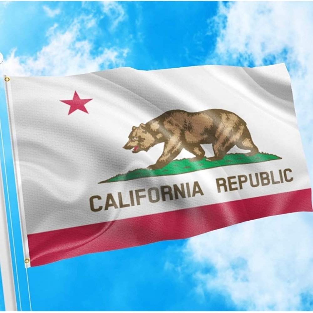 New California bear flag 2' x 3'